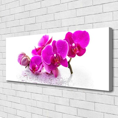 Photo sur toile Fleurs floral rose