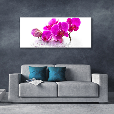 Photo sur toile Fleurs floral rose