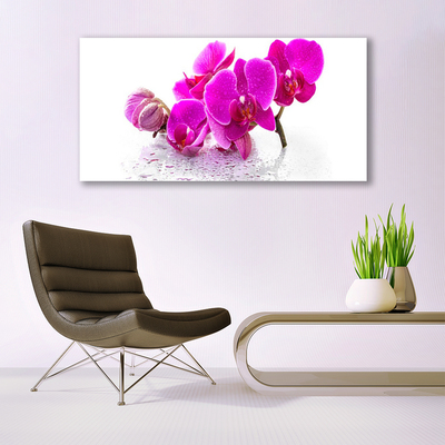 Photo sur toile Fleurs floral rose