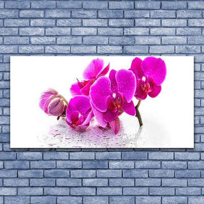 Photo sur toile Fleurs floral rose