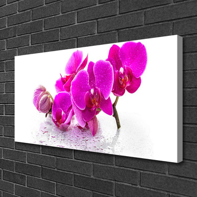 Photo sur toile Fleurs floral rose