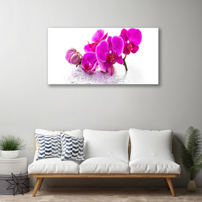 Photo sur toile Fleurs floral rose