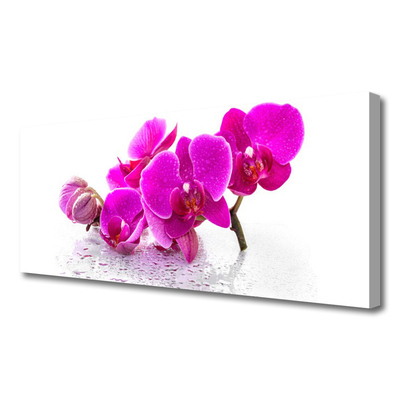 Photo sur toile Fleurs floral rose