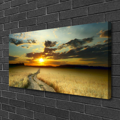 Photo sur toile Chemin prairie paysage gris jaune