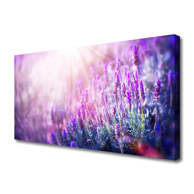 Photo sur toile Fleurs floral rose violet