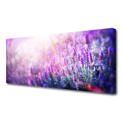 Photo sur toile Fleurs floral rose violet