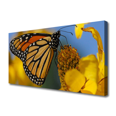 Photo sur toile Fleur papillon nature noir blanc jaune