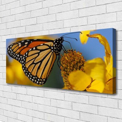 Photo sur toile Fleur papillon nature noir blanc jaune