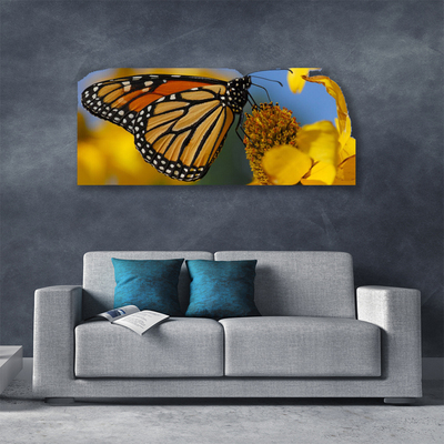 Photo sur toile Fleur papillon nature noir blanc jaune