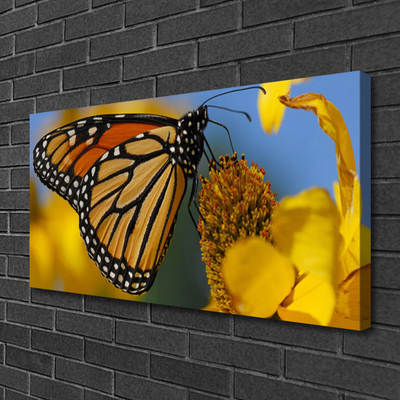 Photo sur toile Fleur papillon nature noir blanc jaune