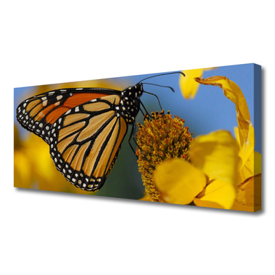 Photo sur toile Fleur papillon nature noir blanc jaune