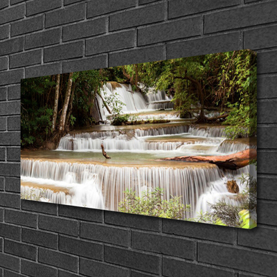 Photo sur toile Forêt chute d'eau nature blanc brun vert