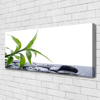 Photo sur toile Feuille floral vert