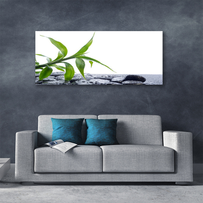 Photo sur toile Feuille floral vert