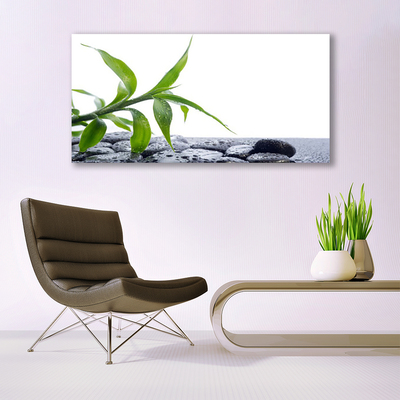 Photo sur toile Feuille floral vert