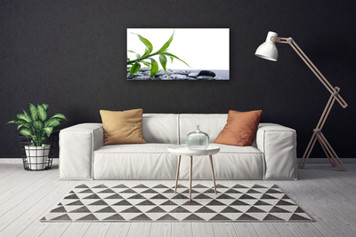 Photo sur toile Feuille floral vert