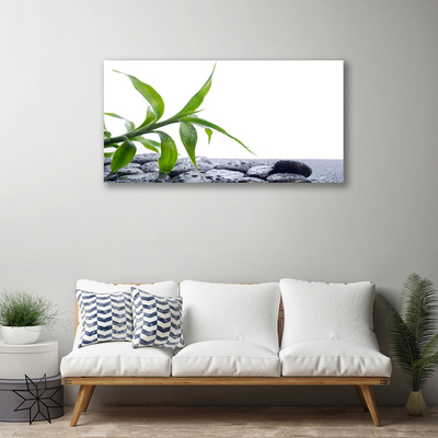 Photo sur toile Feuille floral vert