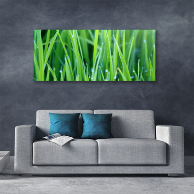 Photo sur toile Herbe nature vert