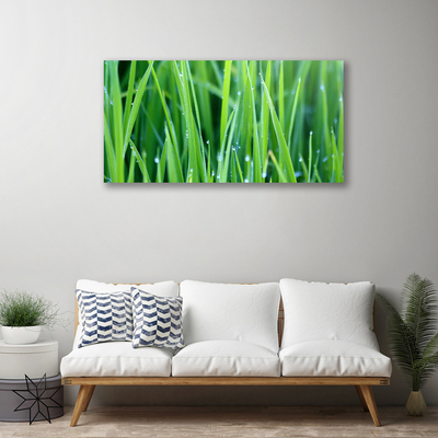 Photo sur toile Herbe nature vert