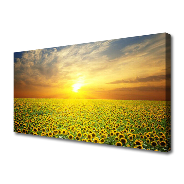 Photo sur toile Prairie tournesols nature jaune brun vert