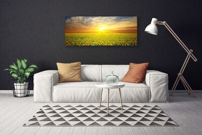 Photo sur toile Prairie tournesols nature jaune brun vert