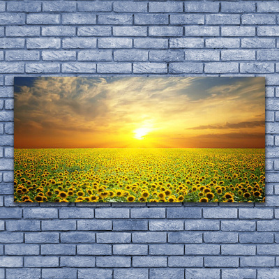 Photo sur toile Prairie tournesols nature jaune brun vert