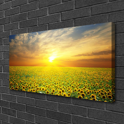 Photo sur toile Prairie tournesols nature jaune brun vert