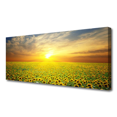 Photo sur toile Prairie tournesols nature jaune brun vert