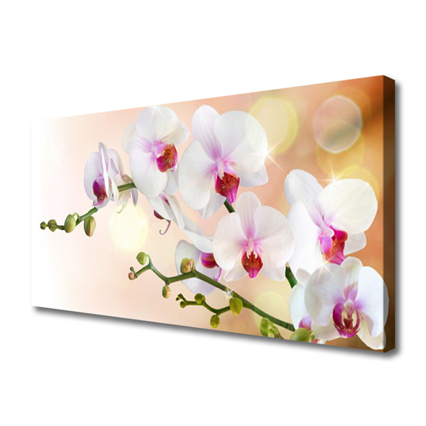 Photo sur toile Fleurs floral blanc rose