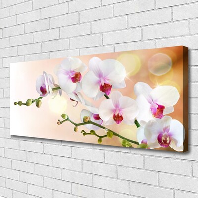 Photo sur toile Fleurs floral blanc rose