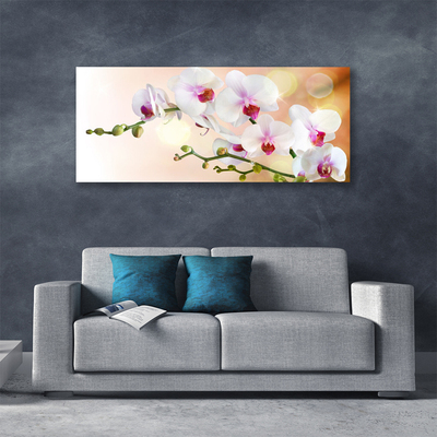 Photo sur toile Fleurs floral blanc rose