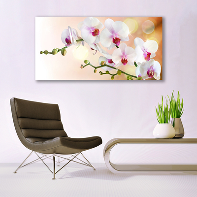 Photo sur toile Fleurs floral blanc rose