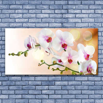 Photo sur toile Fleurs floral blanc rose