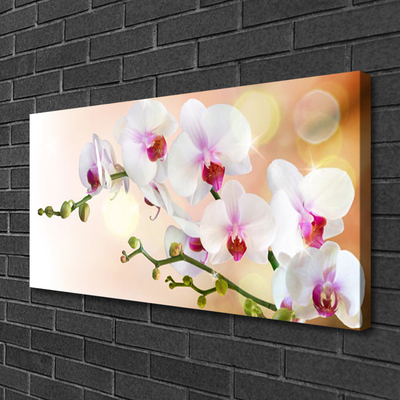 Photo sur toile Fleurs floral blanc rose