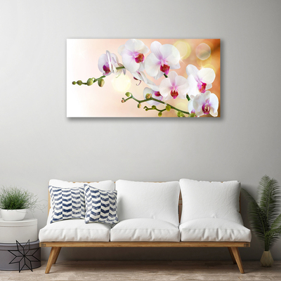 Photo sur toile Fleurs floral blanc rose