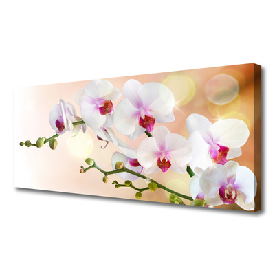 Photo sur toile Fleurs floral blanc rose