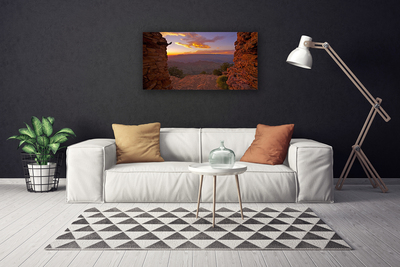 Photo sur toile Roche paysage brun