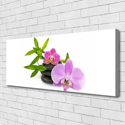 Photo sur toile Pierres fleurs floral rose noir