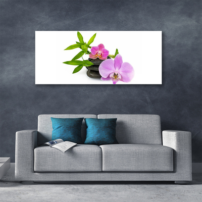 Photo sur toile Pierres fleurs floral rose noir