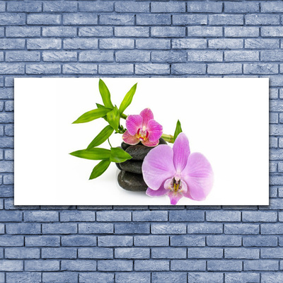 Photo sur toile Pierres fleurs floral rose noir