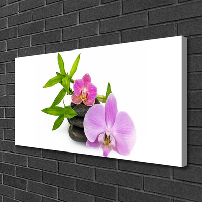 Photo sur toile Pierres fleurs floral rose noir