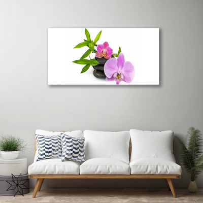 Photo sur toile Pierres fleurs floral rose noir