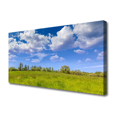 Photo sur toile Prairie herbe paysage vert