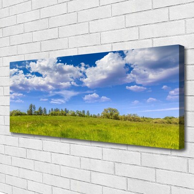 Photo sur toile Prairie herbe paysage vert