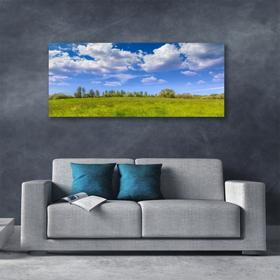 Photo sur toile Prairie herbe paysage vert