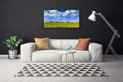 Photo sur toile Prairie herbe paysage vert