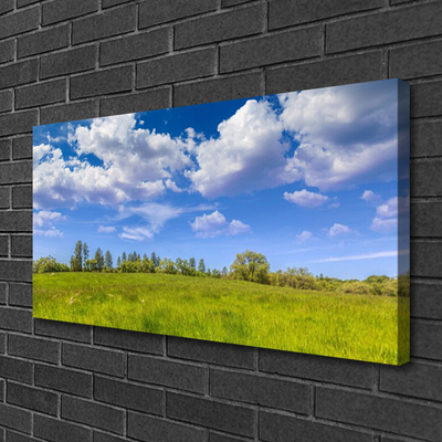 Photo sur toile Prairie herbe paysage vert