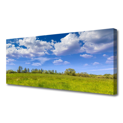 Photo sur toile Prairie herbe paysage vert