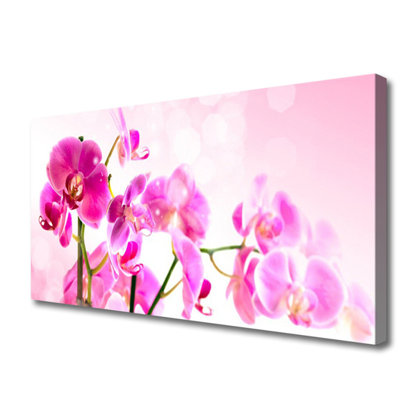 Photo sur toile Fleurs floral rose