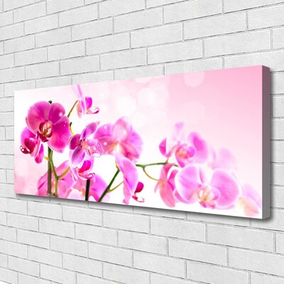 Photo sur toile Fleurs floral rose